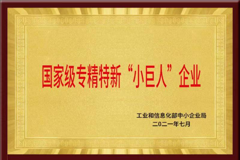 國(guó)家級(jí)專(zhuān)精特新重點(diǎn)“小巨人”